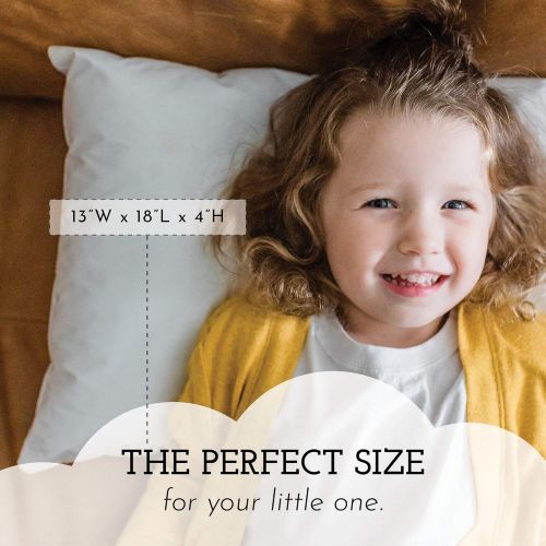  [아마존 핫딜] [아마존핫딜]Little Sleepy Head Toddler Pillow 13x18, Made in USA, Baby Pillow for Sleeping