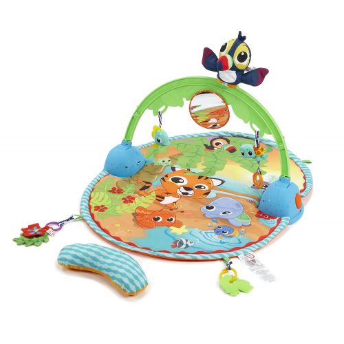  Little Tikes Baby - Good Vibrations Deluxe Activity Gym - with Bag