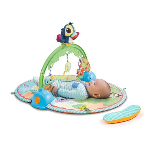  Little Tikes Baby - Good Vibrations Deluxe Activity Gym - with Bag
