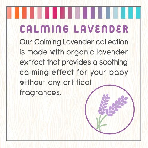  Little Twig All Natural Baby Oil for Sensitive Skin, Lavender - 4 Fluid Oz