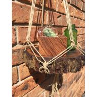 /LittleBrownBoxx Simply Knotted Macrame Jute Plant Hanger