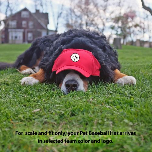  Littlearth NCAA Pet Baseball Hat