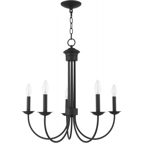  Livex Lighting 42685-02 Chandelier