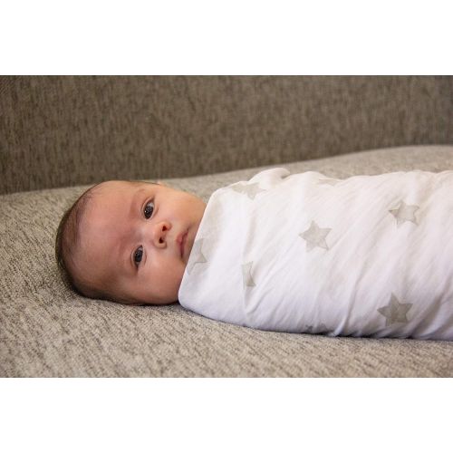  Living Textiles Baby Bento Gift Set. 2-Pack 100% Cotton Muslin Swaddle Blankets with Theodore...