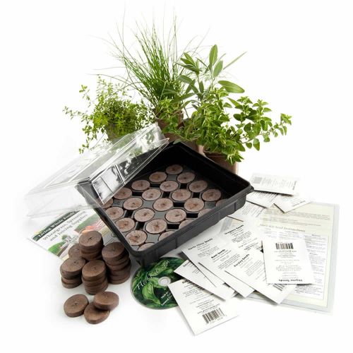  Living Whole Foods Stackable Planter + Medicinal Herb Garden Starter Kit- Start Growing Fresh Medicine Herbs - Seeds: Burdock, Echinacea, Fever Few, More - Includes Terracotta Color Stacking & Hangab