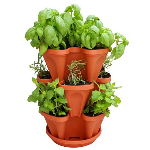  Living Whole Foods Stackable Planter + Medicinal Herb Garden Starter Kit- Start Growing Fresh Medicine Herbs - Seeds: Burdock, Echinacea, Fever Few, More - Includes Terracotta Color Stacking & Hangab