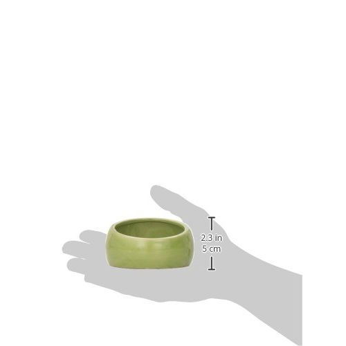  Living World Ergonomic Dish