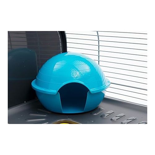  Lixit Igloos and Hideaways for Guinea Pigs, Rats, Mice, Hamsters, Gerbils and Other Small Animals (Blue, Small Igloo)
