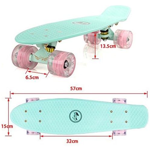  Lmai Skateboards LMAI 22 Cruiser Skateboard Graphic Mini Complete Skateboard (Light Blue)