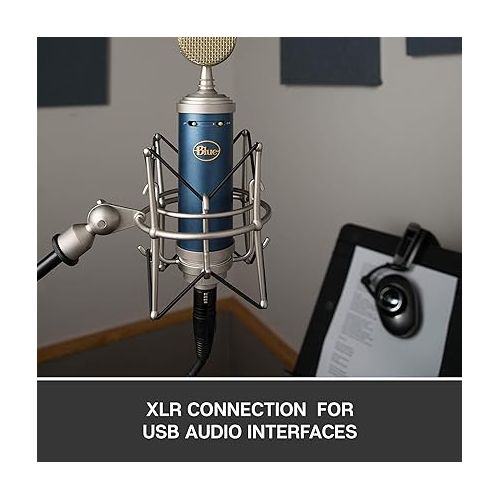  Blue Microphone Bluebird SL XLRCardioid Condenser Microphone for Recording, Streaming, Podcasting, Gaming, Mic with Large Diaphragm Cardioid Capsule, Shockmount and Protective Case