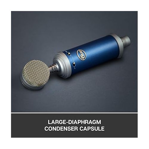  Blue Microphone Bluebird SL XLRCardioid Condenser Microphone for Recording, Streaming, Podcasting, Gaming, Mic with Large Diaphragm Cardioid Capsule, Shockmount and Protective Case