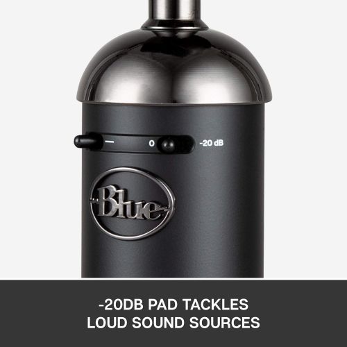  Blue Spark Blackout SL XLR Condenser Mic for Pro Recording and Streaming (137)
