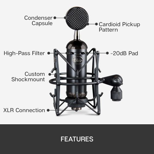  [아마존베스트]Blue Spark Blackout SL XLR Condenser Mic for Pro Recording and Streaming (137)