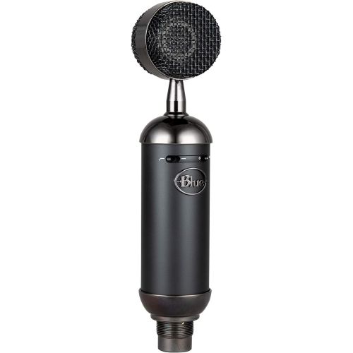  [아마존베스트]Blue Spark Blackout SL XLR Condenser Mic for Pro Recording and Streaming (137)