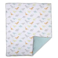 Lolli by Lolli Living Baby Comforter in Dino Land Print. 100% Cotton Modern Baby Blanket (50x40 inch)