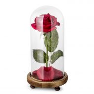 Louis Garden Beauty and the Beast Rose Kit, Red Silk Rose and Led Light with Fallen Petals in Glass Dome on Wooden Base for Home Decor Holiday Party Wedding Anniversary