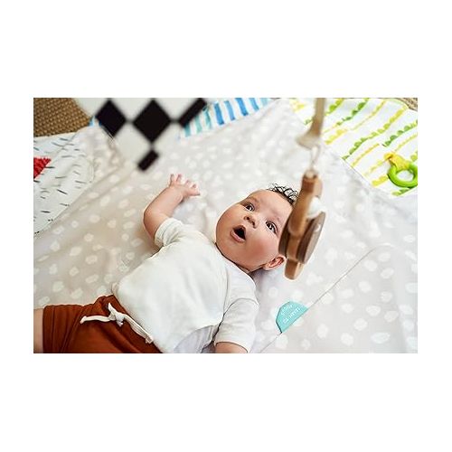  LOVEVERY | The Play Gym | Award Winning For Baby , Stage-Based Developmental Activity Gym & Play Mat for Baby to Toddler