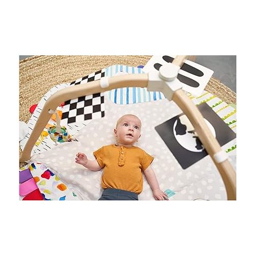  LOVEVERY | The Play Gym | Award Winning For Baby , Stage-Based Developmental Activity Gym & Play Mat for Baby to Toddler