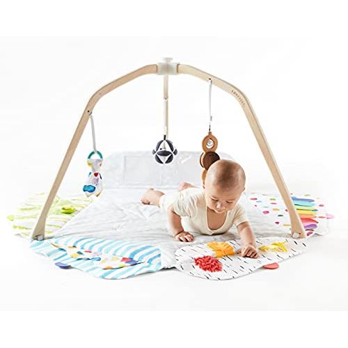  The Play Gym by Lovevery; Stage-Based Developmental Activity Gym & Play Mat for Baby to Toddler