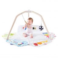 The Play Gym by Lovevery; 5 Developmental Zones for Brain, Fine, Gross Motor & Sensory Development; Organic Teether, Wood Batting Ring, Mirrors; Grounded in Science - Educational P