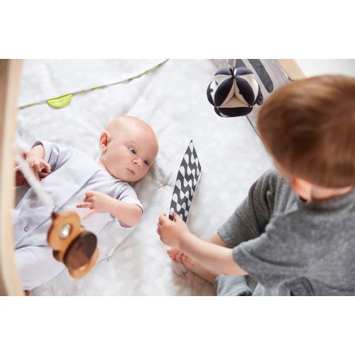  The Play Gym by Lovevery; 5 Developmental Zones for Brain, Fine, Gross Motor & Sensory Development; Organic Teether, Wood Batting Ring, Mirrors; Grounded in Science - Educational P