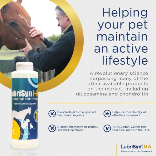  Lubrisyn LubriSyn Joint Supplement for Canine & Equine