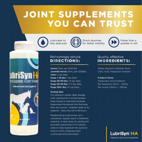  Lubrisyn LubriSyn Joint Supplement for Canine & Equine