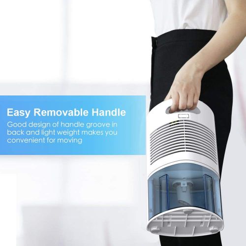  Luby RINKMO Portable Mini Dehumidifiers 1 Pint Capacity Compact and Quiet with Auto Shut-Off for Small Space up to 180 sq ft, Ideal for RV Closet Wardrobe Bedroom