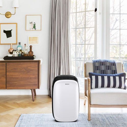  Luby RINKMO 30 Pint Dehumidifier for Home Basements Bedroom Garage, Safe Mid Size Portable Dehumidifiers for Medium Spaces up to 1050 Sq Ft with Continuous Drain Hose Outlet to Reduce M