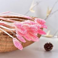 Brand: LucaSng LucaSng 50pcs Dried Pampasgrass Dried Flower Bouquet Decorative Artificial Flowers for Home Living Room Vase Wedding