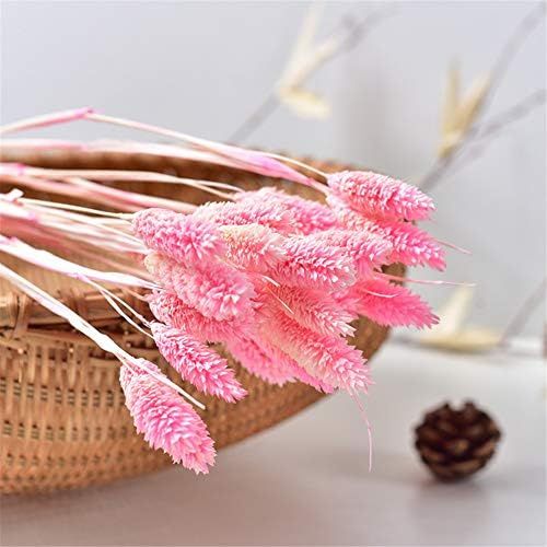  Brand: LucaSng LucaSng 50pcs Dried Pampasgrass Dried Flower Bouquet Decorative Artificial Flowers for Home Living Room Vase Wedding