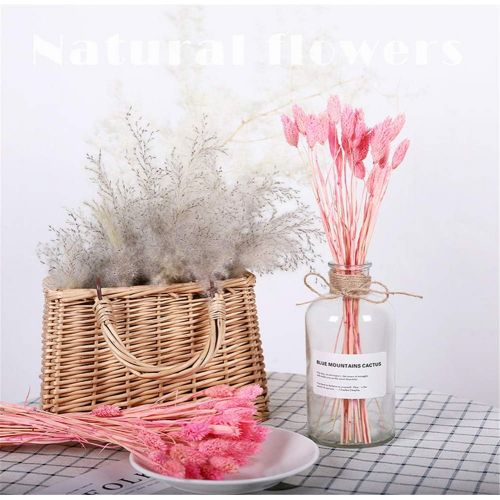  Brand: LucaSng LucaSng 50pcs Dried Pampasgrass Dried Flower Bouquet Decorative Artificial Flowers for Home Living Room Vase Wedding