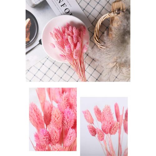  Brand: LucaSng LucaSng 50pcs Dried Pampasgrass Dried Flower Bouquet Decorative Artificial Flowers for Home Living Room Vase Wedding