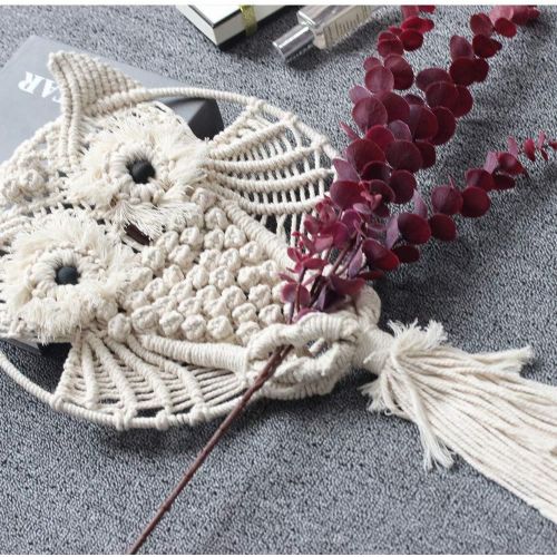  Brand: LucaSng LucaSng Dream Catcher Owl Hanging Macrame Decor Beautiful Cotton Macrame Dream Catcher Wall Hanging Decoration for Bedroom / Living Room Owl Amulet Owl Decoration