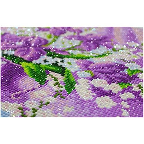  Brand: LucaSng LucaSng 5D Diamond Painting Full Drill Set, DIY Diamond Painting Cross Stitch Diamond Decoration for Home Wall Decor, 60x80cm