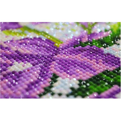  Brand: LucaSng LucaSng 5D Diamond Painting Full Drill Set, DIY Diamond Painting Cross Stitch Diamond Decoration for Home Wall Decor, 60x80cm