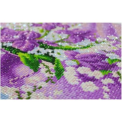  Brand: LucaSng LucaSng DIY 5D Diamond Painting Kits for Adults 5d Diamond Painting Full Rhinestone Embroidery Cross Stitch Accessories Art Craft Canvas Wall Decoration, 60x80cm