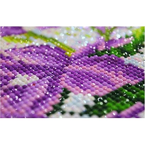  Brand: LucaSng LucaSng DIY 5D Diamond Painting Kits for Adults 5d Diamond Painting Full Rhinestone Embroidery Cross Stitch Accessories Art Craft Canvas Wall Decoration, 60x80cm