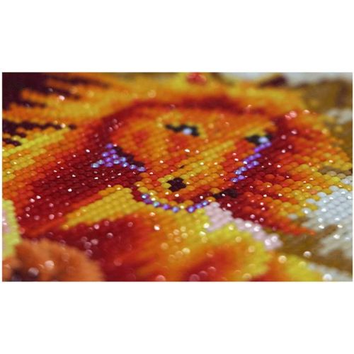  Brand: LucaSng LucaSng 5D DIY Diamond Painting Kits for Adults Children Dragon Diamond Painting Embroidery Craft Full Drill Large Images for Home Wall Decor 100 x 60 cm