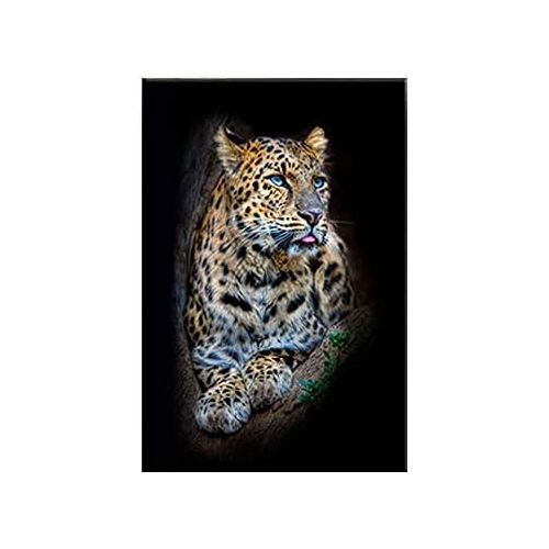  Brand: LucaSng LucaSng Set of 3 Design Wall Pictures Animal Lion Tiger Leopard Without Frame Wall Art Print Pictures Art Poster Decoration for Living Room