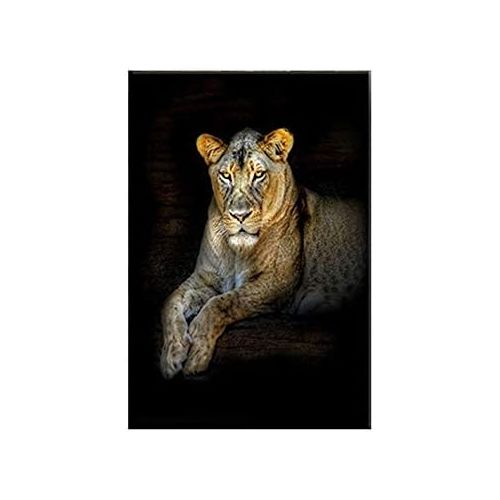  Brand: LucaSng LucaSng Set of 3 Design Wall Pictures Animal Lion Tiger Leopard Without Frame Wall Art Print Pictures Art Poster Decoration for Living Room