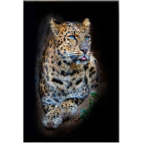  Brand: LucaSng LucaSng Set of 3 Design Wall Pictures Animal Lion Tiger Leopard Without Frame Wall Art Print Pictures Art Poster Decoration for Living Room