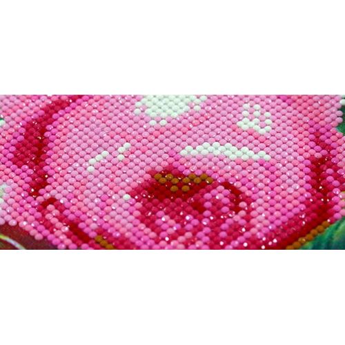  Brand: LucaSng LucaSng 5D DIY Diamond Embroidery Full Drill Diamond Painting Set Flower Moon Birds Crystal Rhinestone Cross Stitch Embroidery Handmade Adhesive Picture