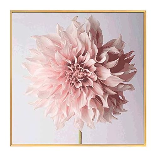  Brand: LucaSng LucaSng DIY 5D Diamond Painting Set Flowers Chrysanthemum Full Crystal Rhinestone Embroidery Painting By Numbers Diamond Wall Art Craft Decor Living Room, 50 x 50 cm