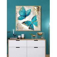 Brand: LucaSng LucaSng 5D Diamond Painting Rhinestone Painting Craft Set with Resin Stones, Paint Diamonds, Butterfly Handmade Adhesive Painting