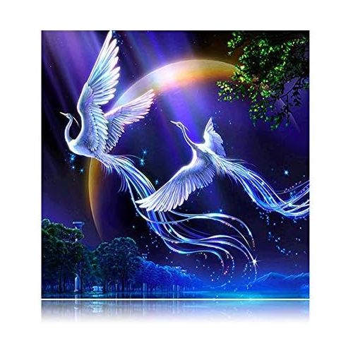  Brand: LucaSng LucaSng 5D DIY Diamond Painting Starry Sky Birds Diamond Painting Set Mosaic by Numbers Cross Stitch Embroidery Pictures Handicraft Wall Deocr for Home Wall, 60 x 90 cm