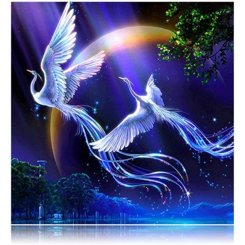  Brand: LucaSng LucaSng 5D DIY Diamond Painting Starry Sky Birds Diamond Painting Set Mosaic by Numbers Cross Stitch Embroidery Pictures Handicraft Wall Deocr for Home Wall, 60 x 90 cm