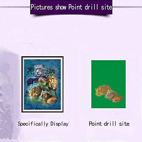  Brand: LucaSng LucaSng DIY Diamond Painting Kit with 5D Rhinestone Pictures Handmade Adhesive Picture Embroidery Painting Digital Sets Wall Decoration Full Drill