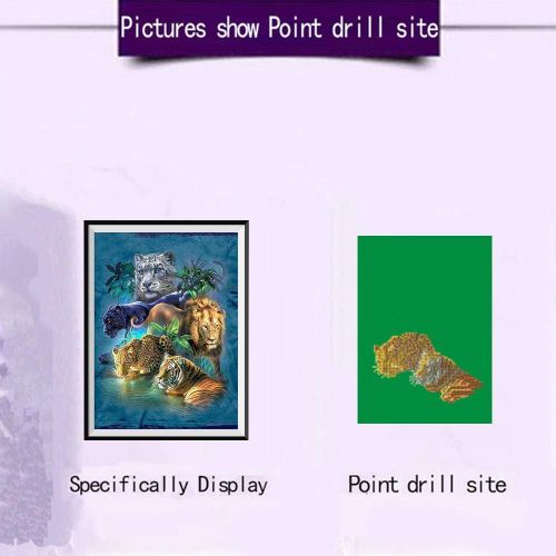  Brand: LucaSng LucaSng DIY Diamond Painting Kit with 5D Rhinestone Pictures Handmade Adhesive Picture Embroidery Painting Digital Sets Wall Decoration Full Drill