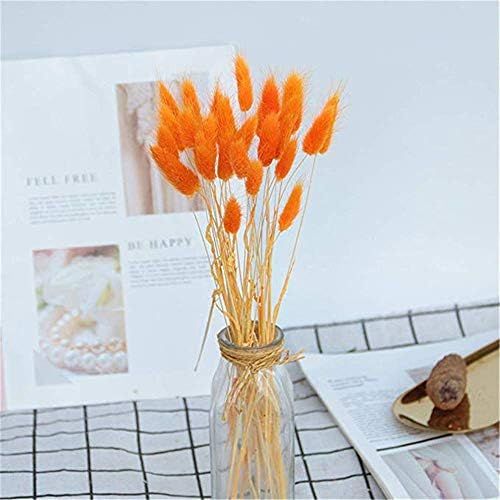 Brand: LucaSng LucaSng 20pcs Pampasgrass Decoration Natural Pampasgrass Dried Flowers Artificial Flowers Reed Grass Small Dried Flowers for Wedding Home Party Photography Hotel Vase Decoration